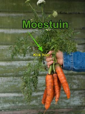 moestuin